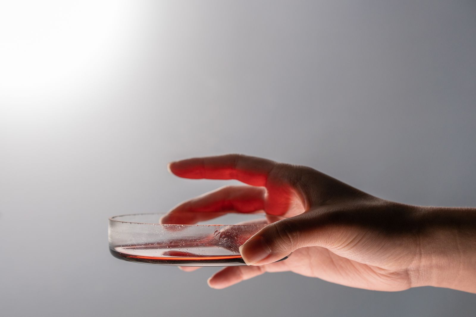A culture flask held in a gloved hand