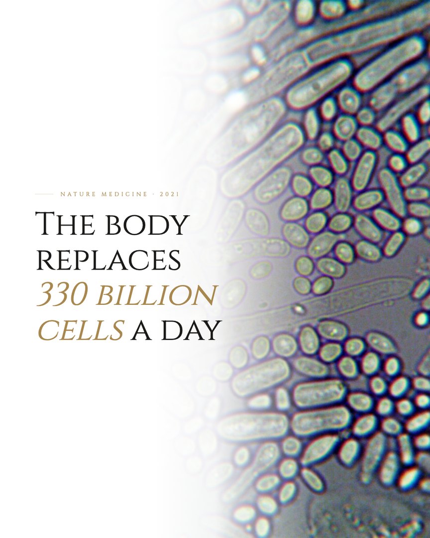 Crescent Discovery Series cover: The body replaces 330 billion cells a day