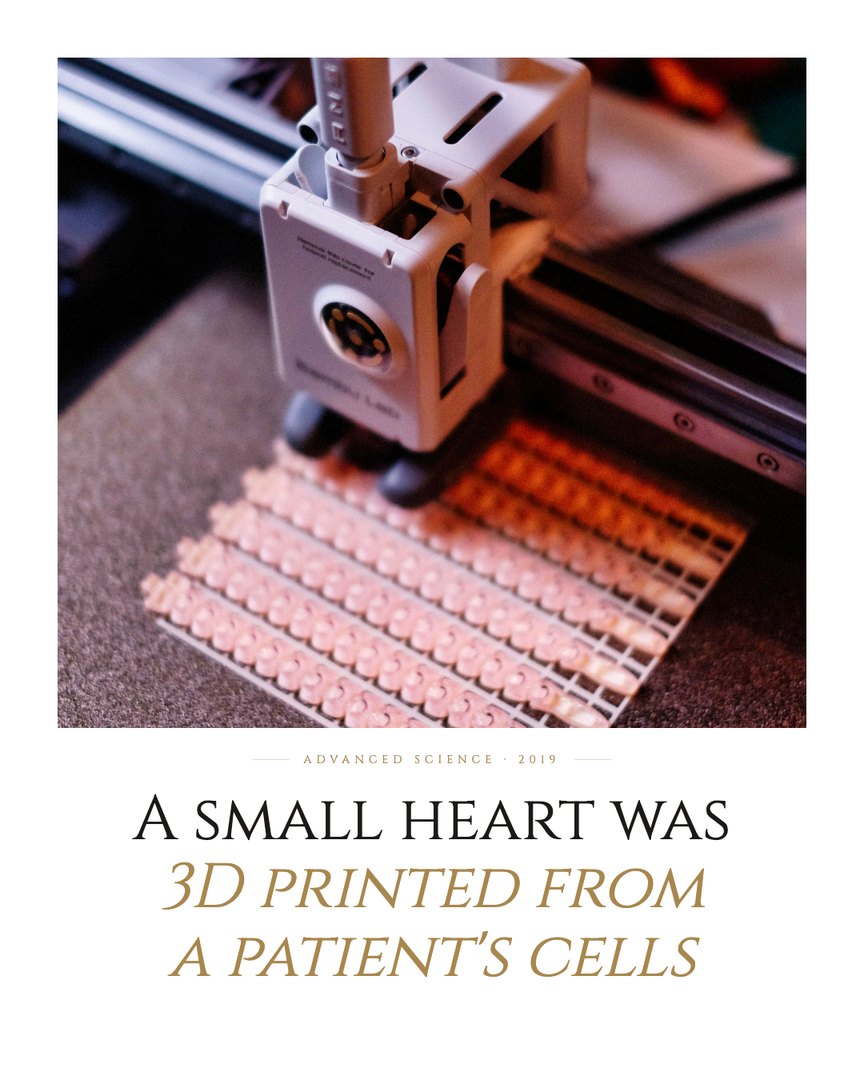 Crescent Discovery Series cover: A small heart was 3D printed from a patient's cells