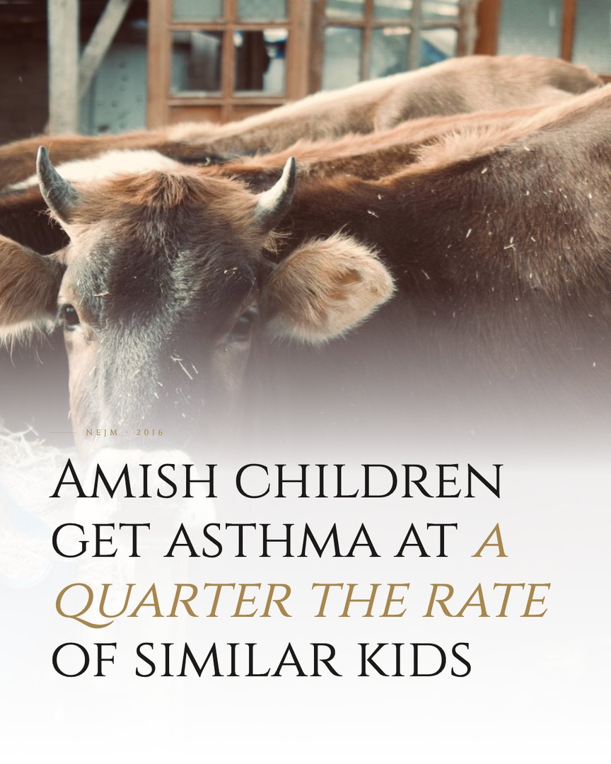 Crescent Discovery Series cover: Amish children get asthma at a quarter the rate of similar kids