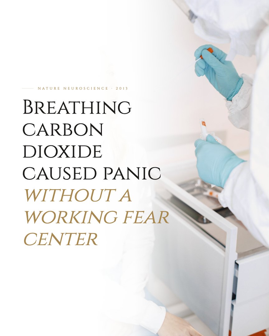 Crescent Discovery Series cover: Breathing carbon dioxide caused panic without a working fear center