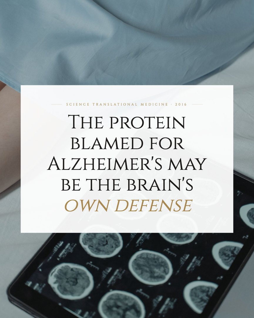 Crescent Discovery Series cover: The protein blamed for Alzheimer's may be the brain's own defense