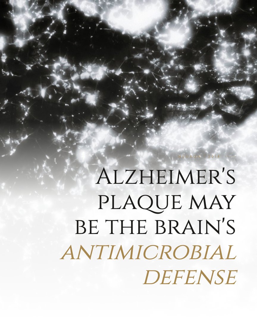 Crescent Discovery Series cover: Alzheimer's plaque may be the brain's antimicrobial defense