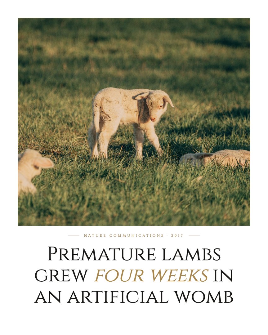 Crescent Discovery Series cover: Premature lambs grew four weeks in an artificial womb