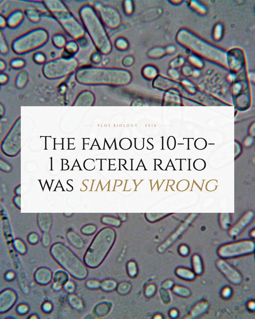Crescent Discovery Series cover: The famous 10-to-1 bacteria ratio was simply wrong