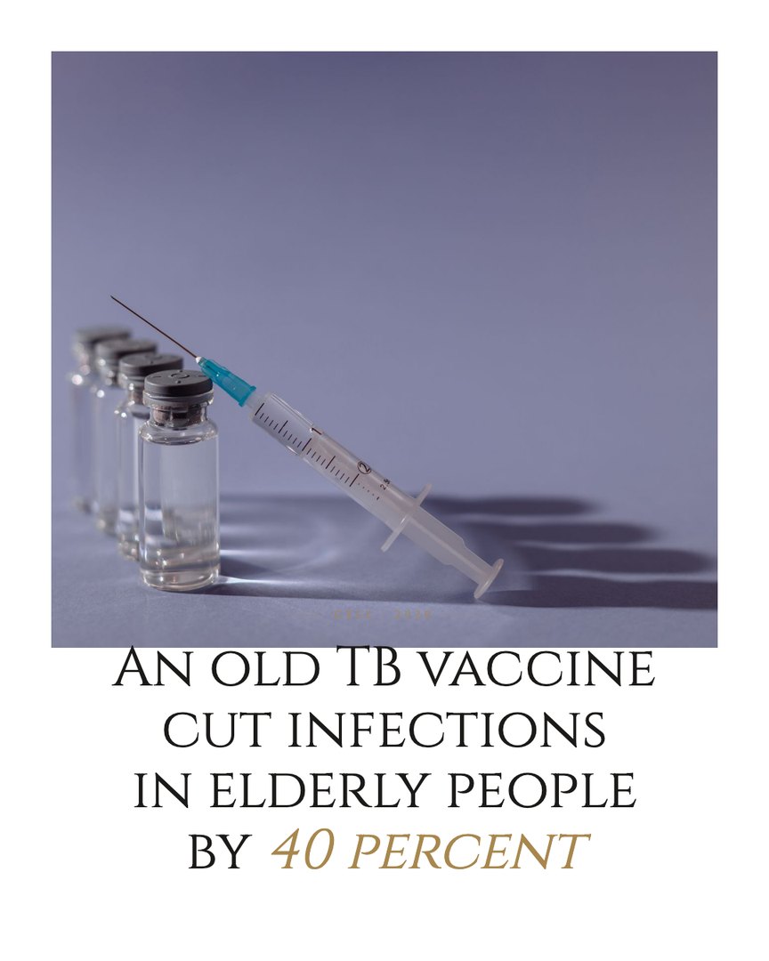 Crescent Discovery Series cover: An old TB vaccine cut infections in elderly people by 40 percent