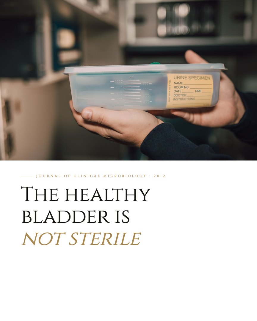 Crescent Discovery Series cover: The healthy bladder is not sterile