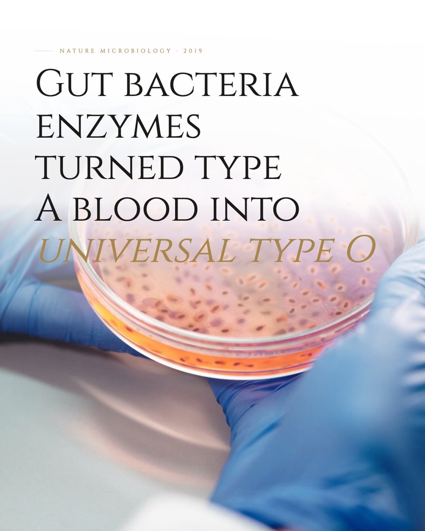 Crescent Discovery Series cover: Gut bacteria enzymes turned type A blood into universal type O