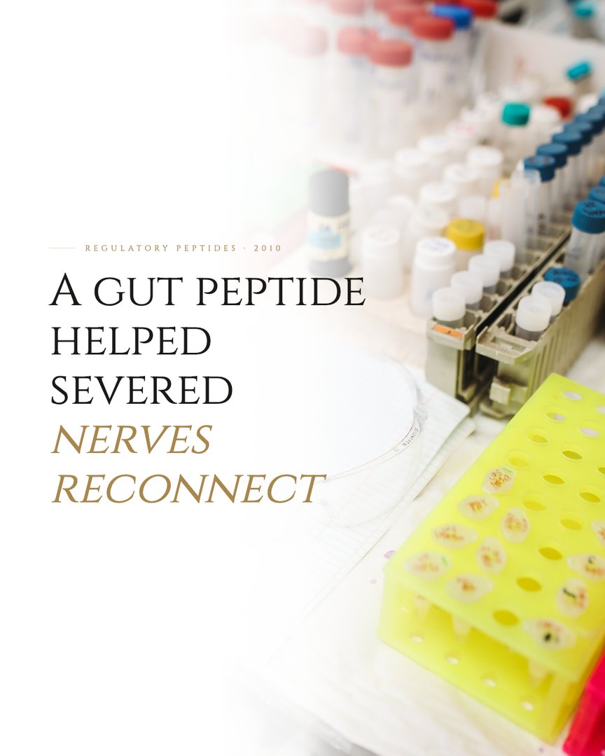 Crescent Discovery Series cover: A gut peptide helped severed nerves reconnect