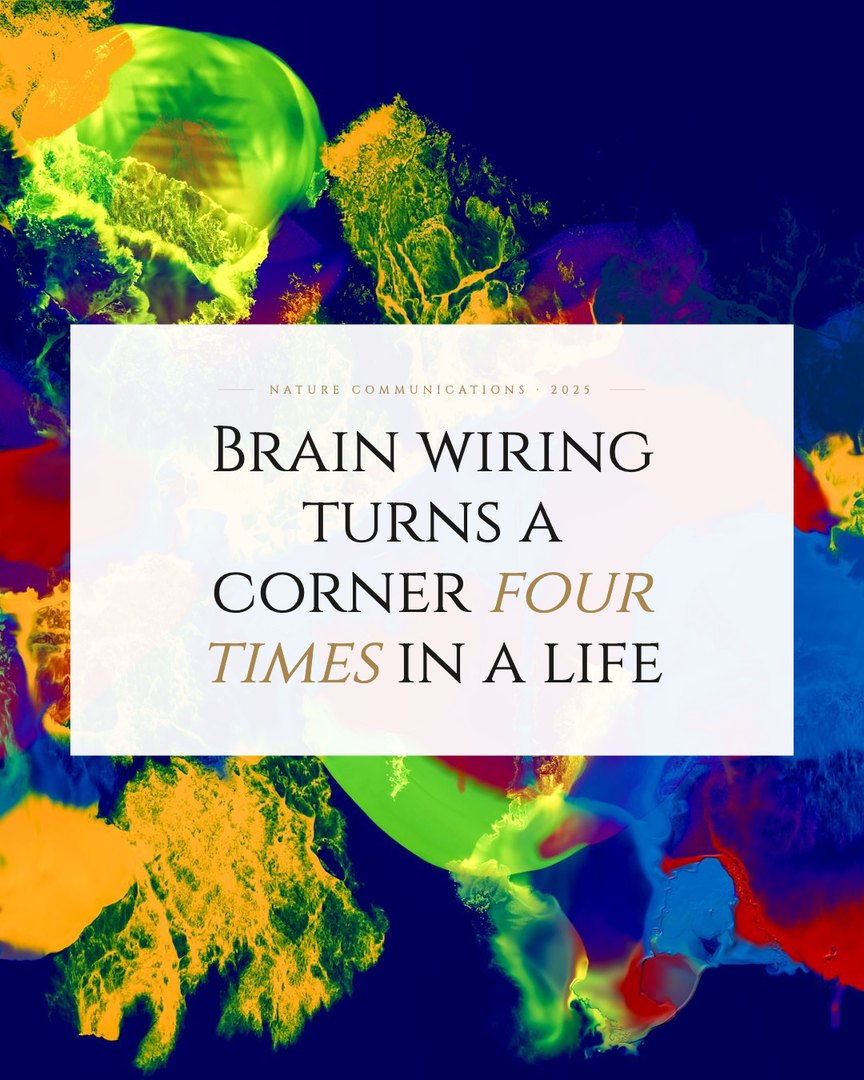 Crescent Discovery Series cover: Brain wiring turns a corner four times in a life