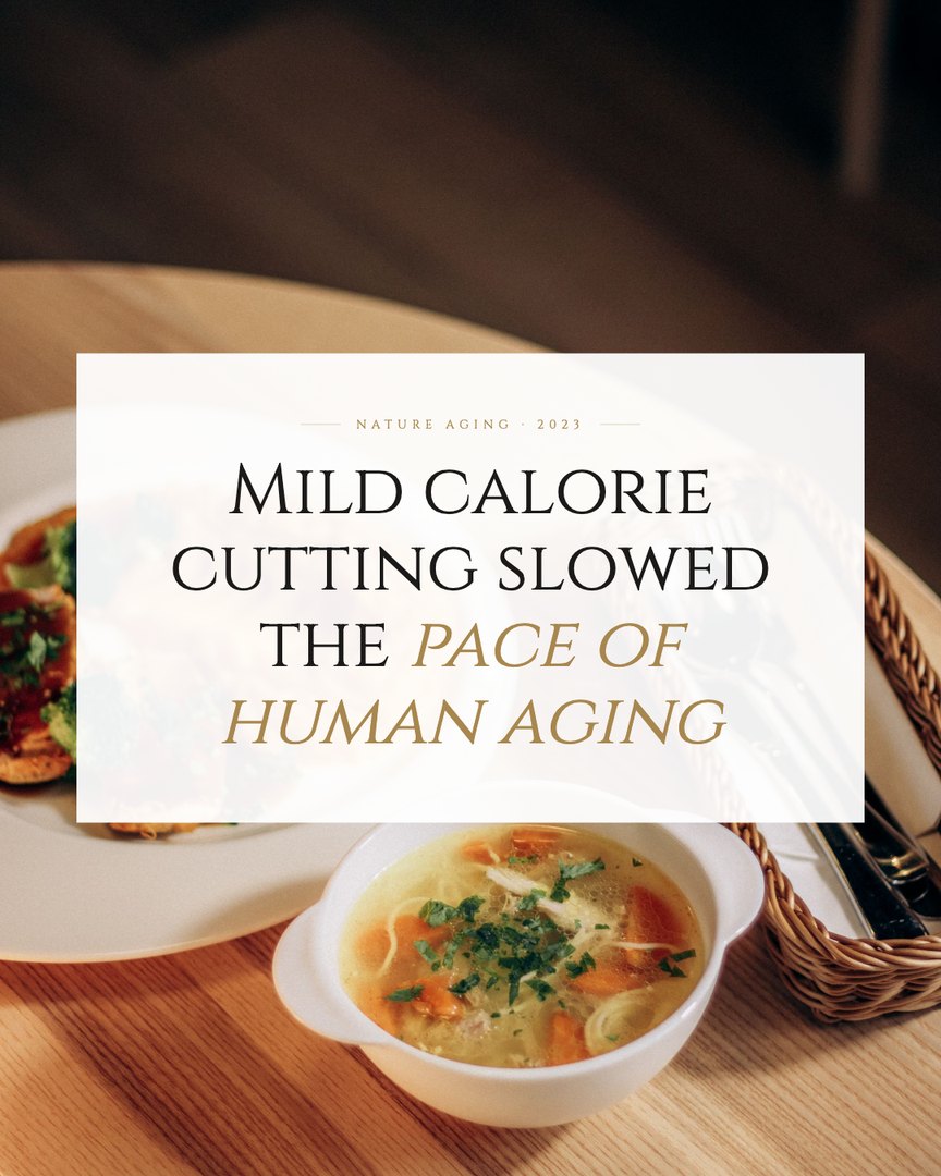 Crescent Discovery Series cover: Mild calorie cutting slowed the pace of human aging