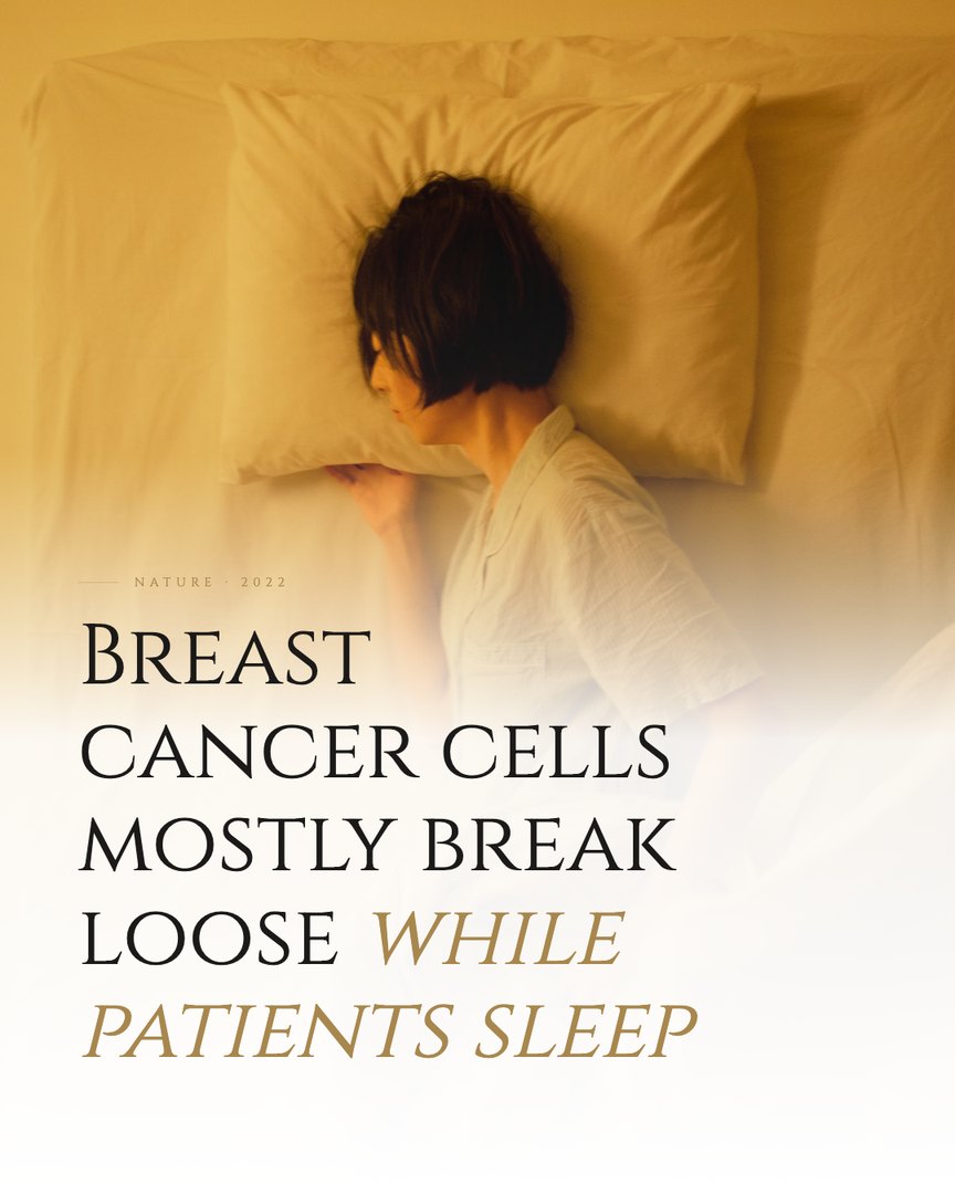 Crescent Discovery Series cover: Breast cancer cells mostly break loose while patients sleep
