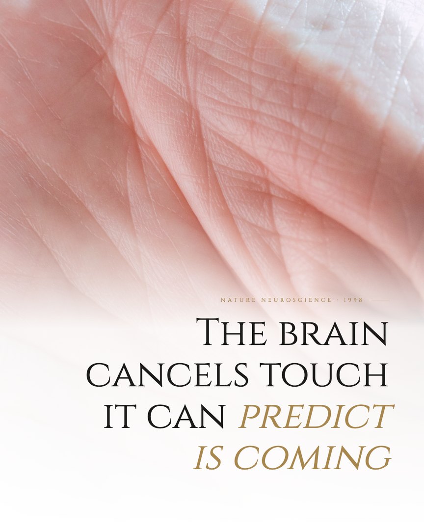 Crescent Discovery Series cover: The brain cancels touch it can predict is coming