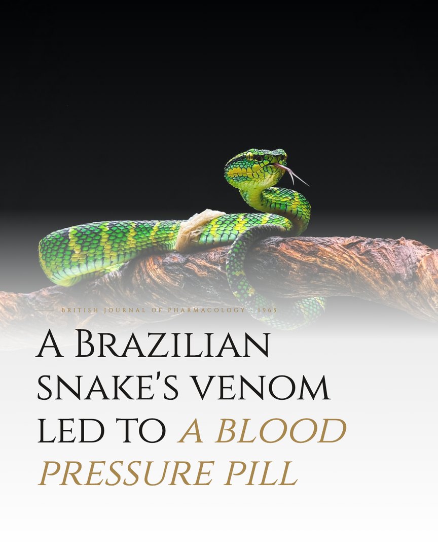 Crescent Discovery Series cover: A Brazilian snake's venom led to a blood pressure pill