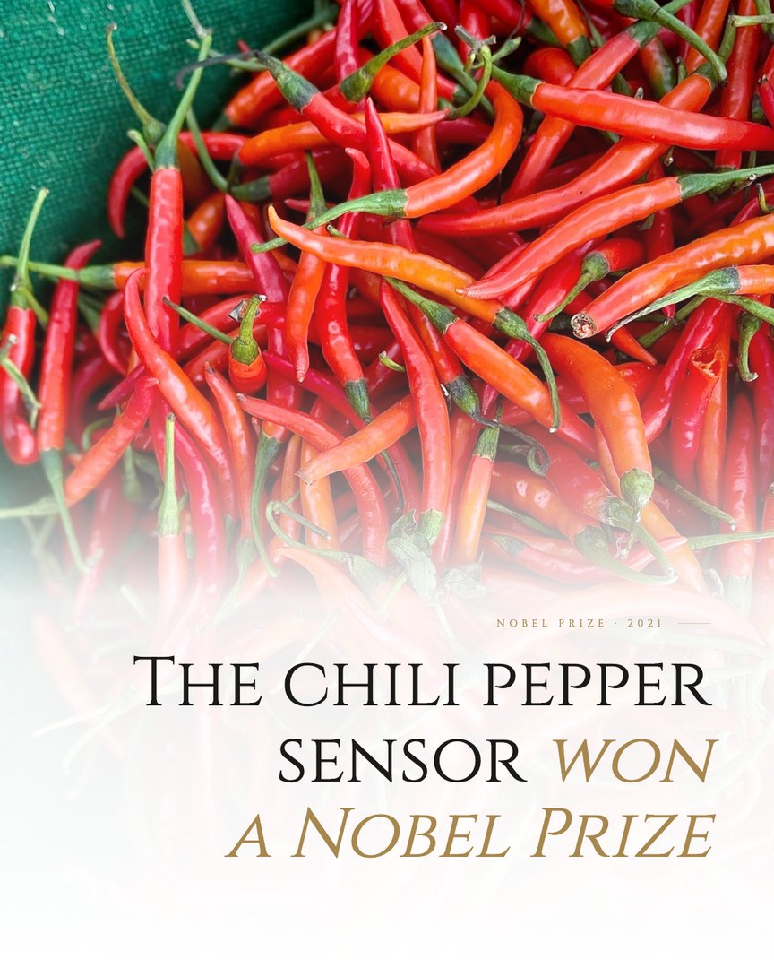 Crescent Discovery Series cover: The chili pepper sensor won a Nobel Prize