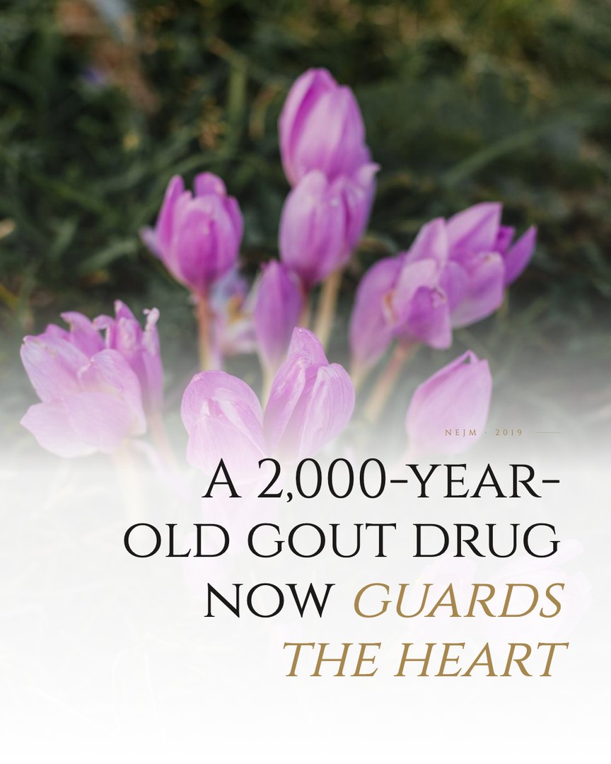 Crescent Discovery Series cover: A 2,000-year-old gout drug now guards the heart
