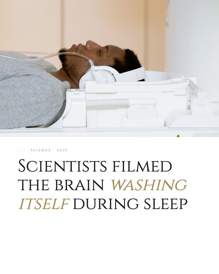 Crescent Discovery Series cover: Scientists filmed the brain washing itself during sleep
