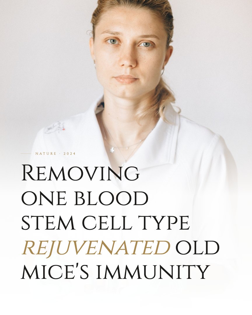 Crescent Discovery Series cover: Removing one blood stem cell type rejuvenated old mice's immunity