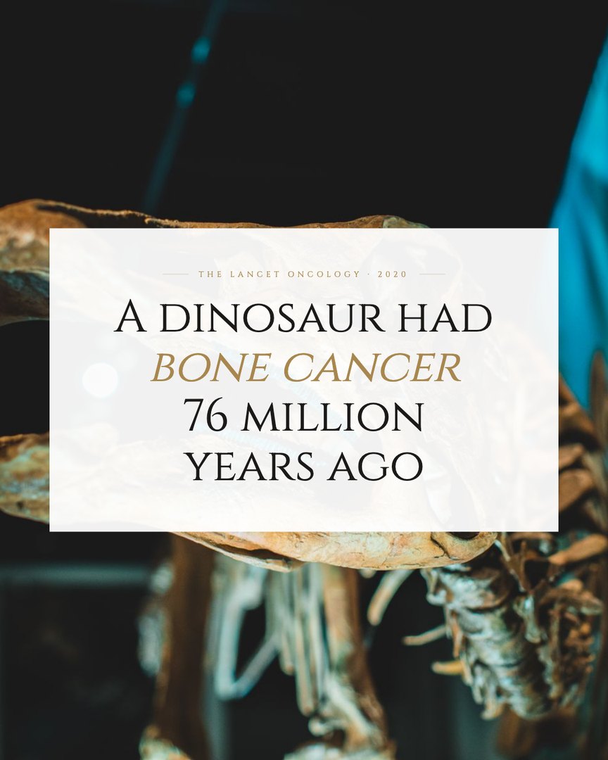Crescent Discovery Series cover: A dinosaur had bone cancer 76 million years ago