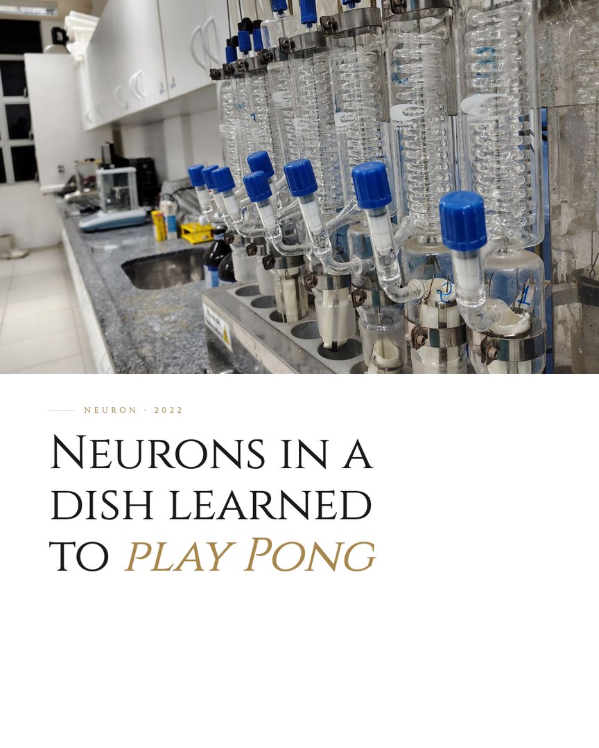 Crescent Discovery Series cover: Neurons in a dish learned to play Pong