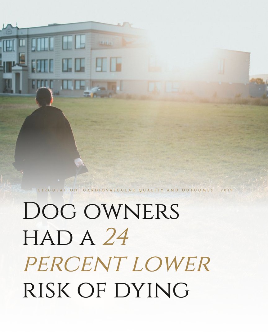 Crescent Discovery Series cover: Dog owners had a 24 percent lower risk of dying