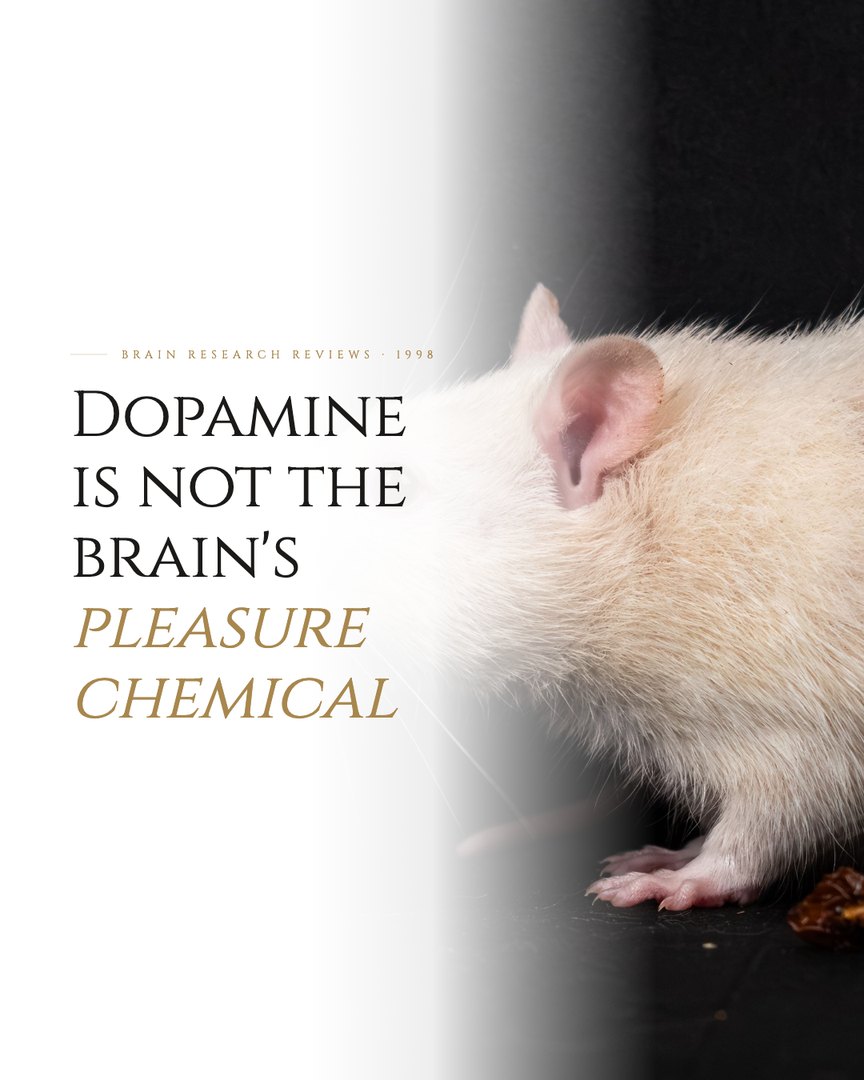 Crescent Discovery Series cover: Dopamine is not the brain's pleasure chemical