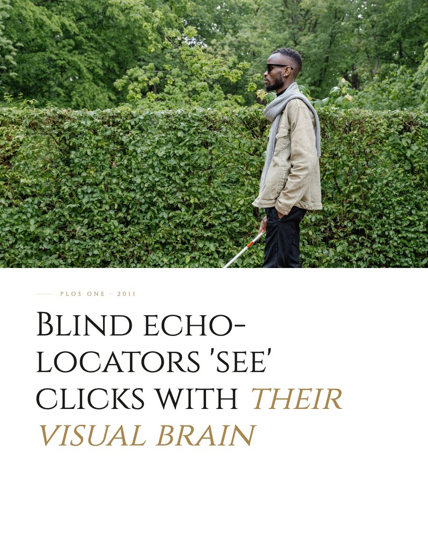 Crescent Discovery Series cover: Blind echo-locators 'see' clicks with their visual brain