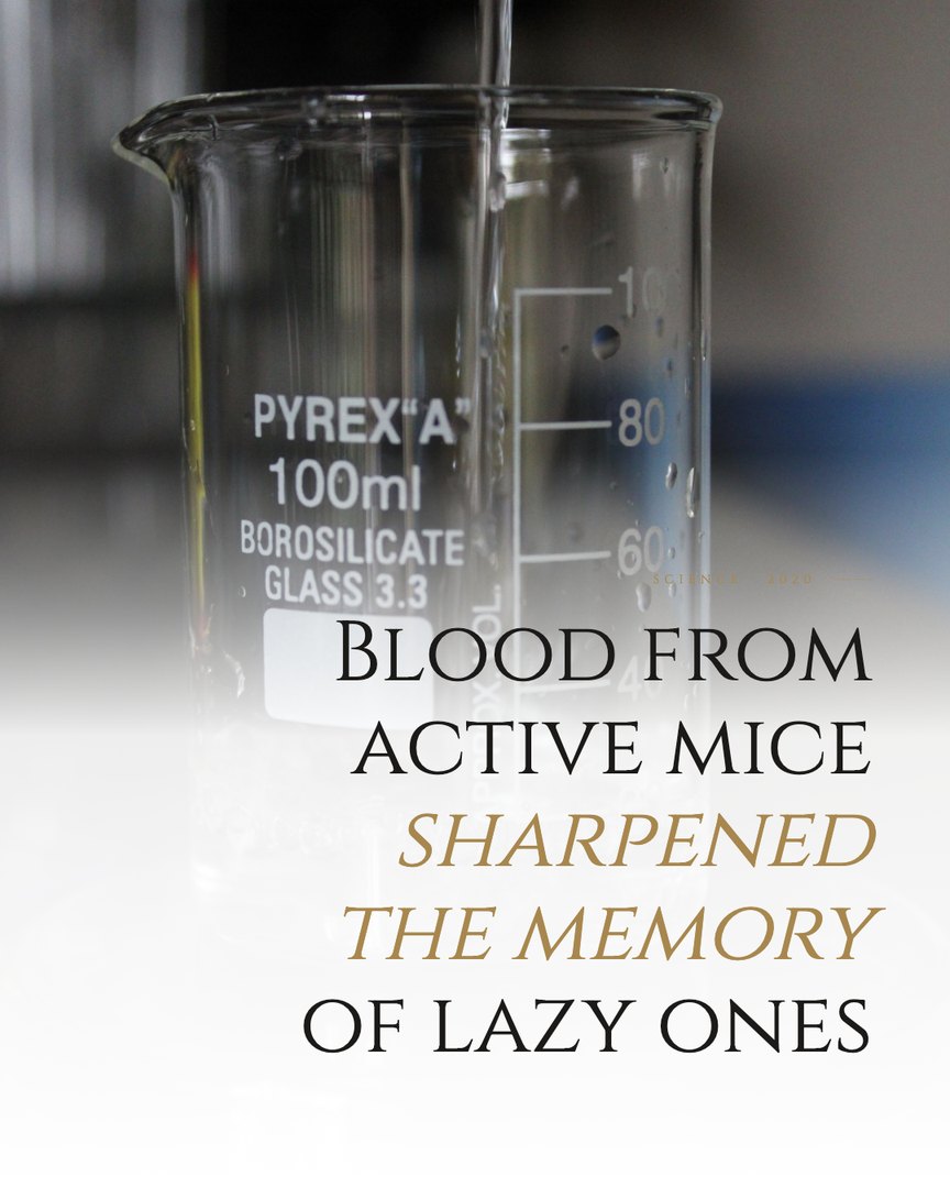 Crescent Discovery Series cover: Blood from active mice sharpened the memory of lazy ones