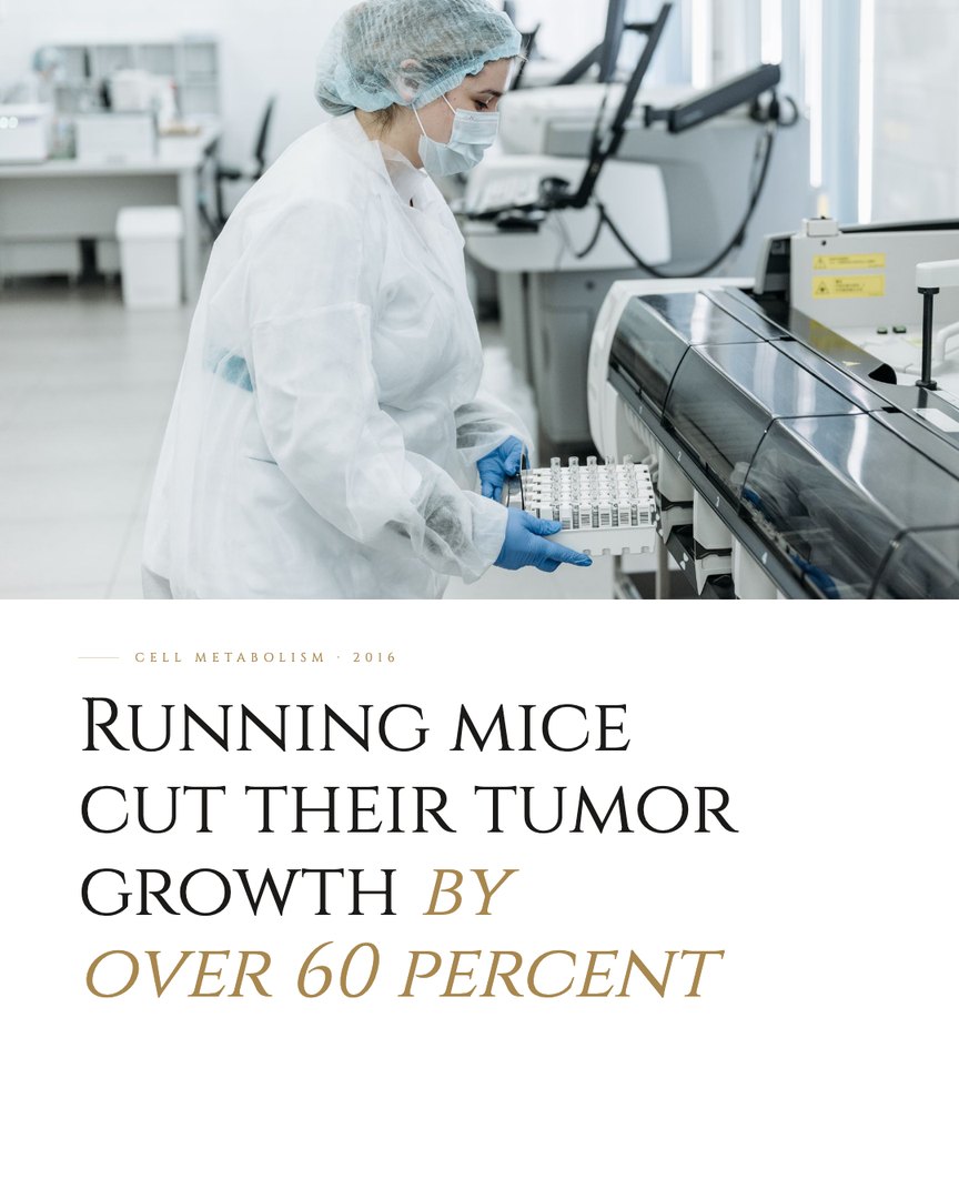 Crescent Discovery Series cover: Running mice cut their tumor growth by over 60 percent