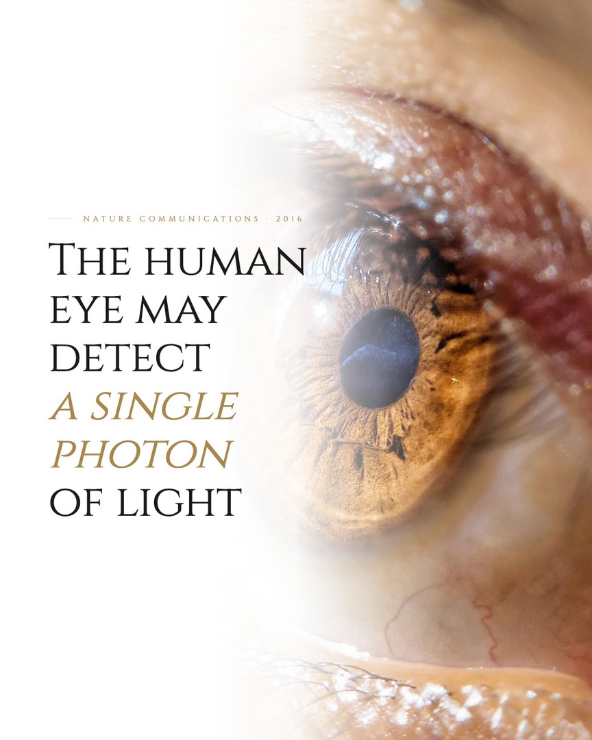 Crescent Discovery Series cover: The human eye may detect a single photon of light