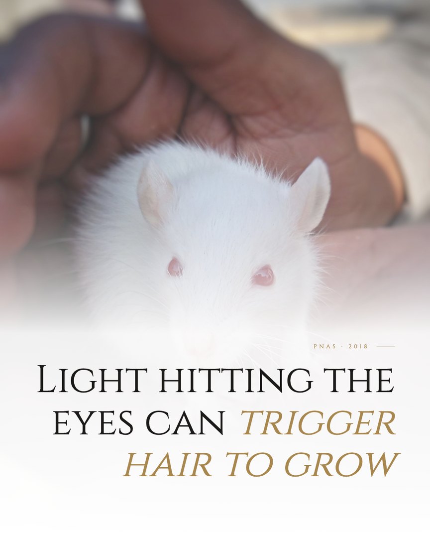Crescent Discovery Series cover: Light hitting the eyes can trigger hair to grow
