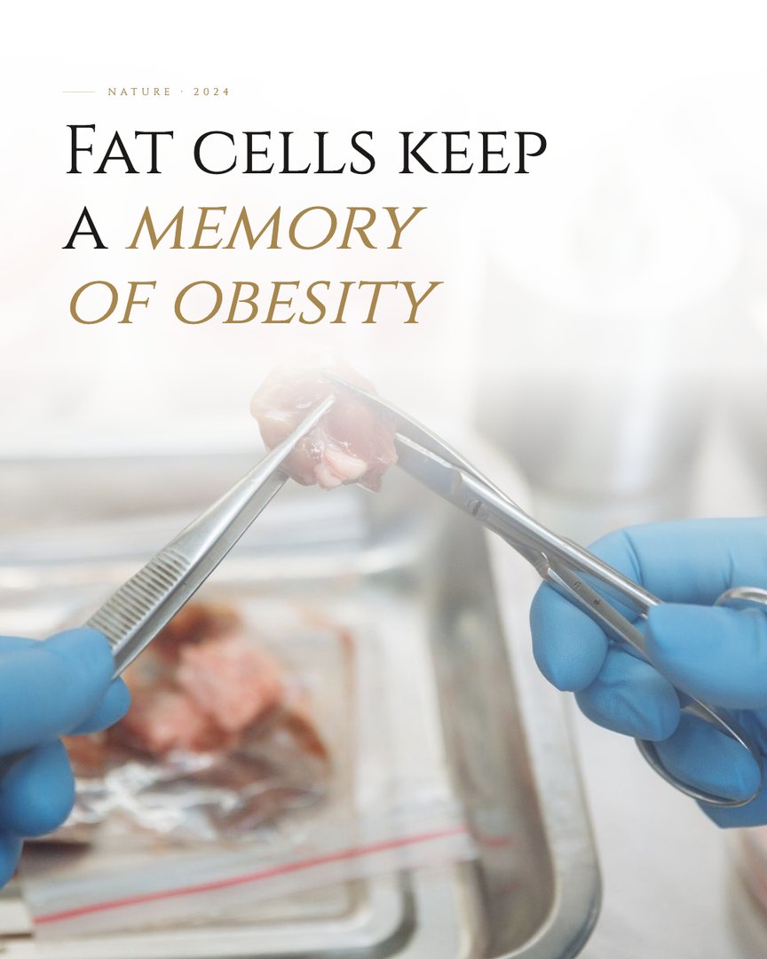 Crescent Discovery Series cover: Fat cells keep a memory of obesity