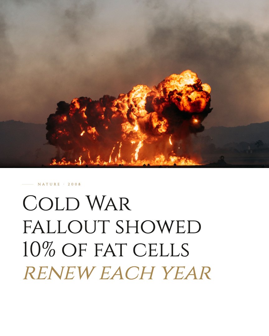 Crescent Discovery Series cover: Cold War fallout showed 10% of fat cells renew each year