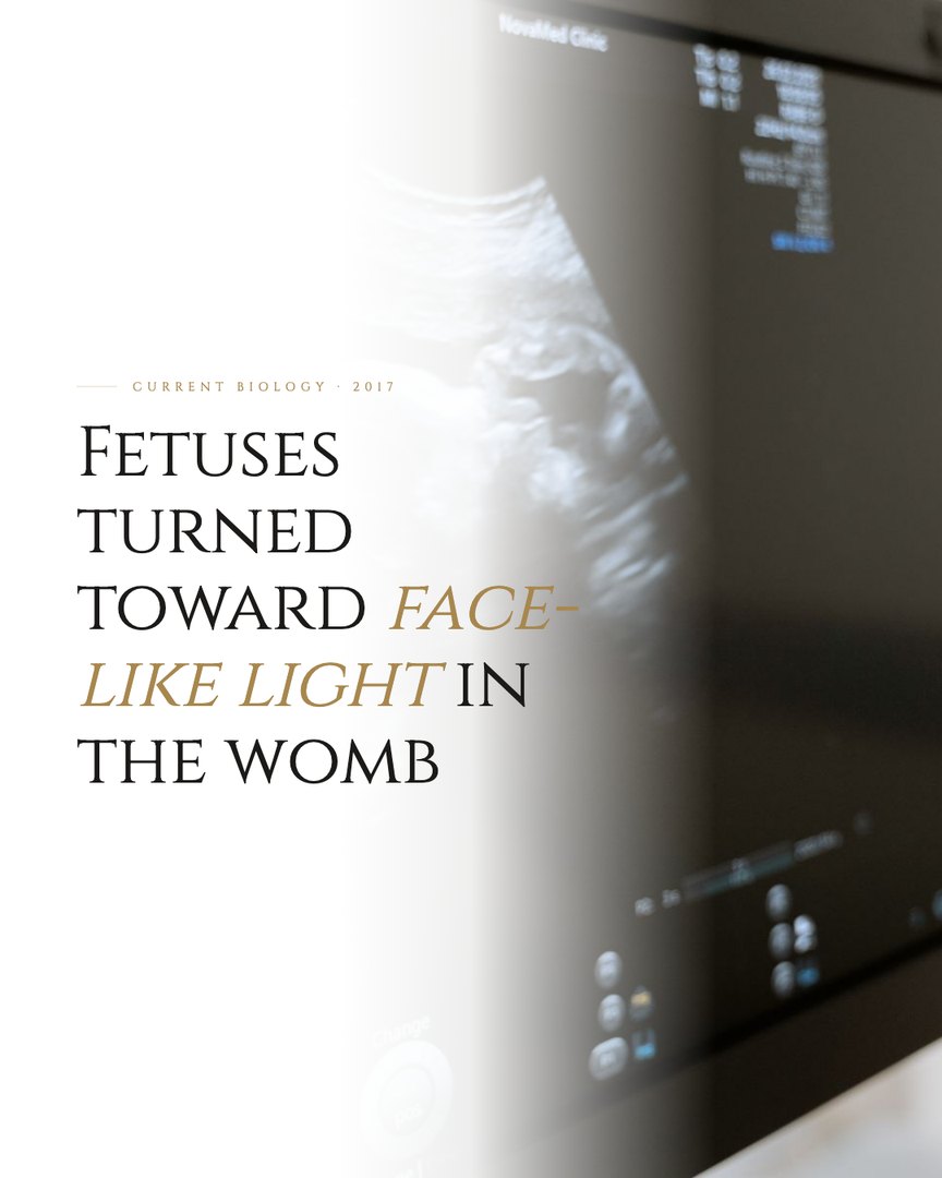Crescent Discovery Series cover: Fetuses turned toward face-like light in the womb