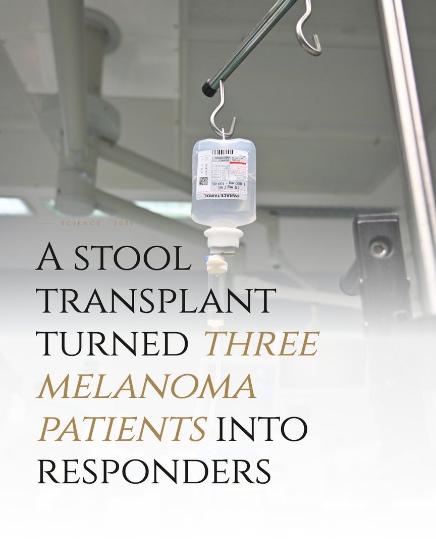 Crescent Discovery Series cover: A stool transplant turned three melanoma patients into responders