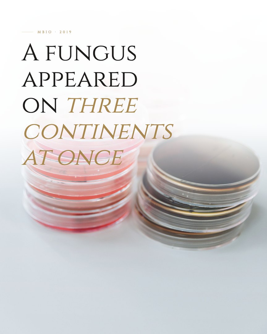 Crescent Discovery Series cover: A fungus appeared on three continents at once