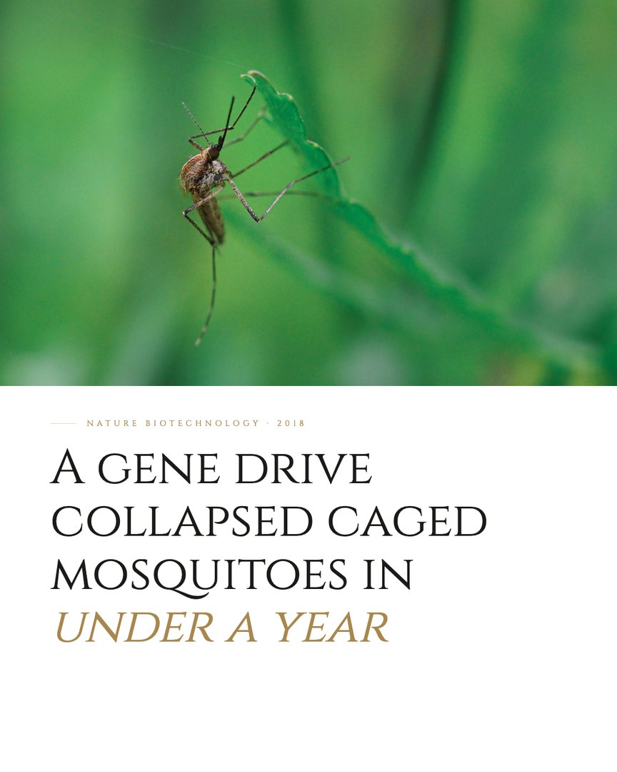Crescent Discovery Series cover: A gene drive collapsed caged mosquitoes in under a year