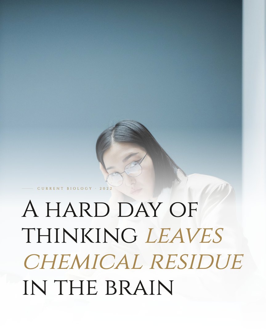 Crescent Discovery Series cover: A hard day of thinking leaves chemical residue in the brain