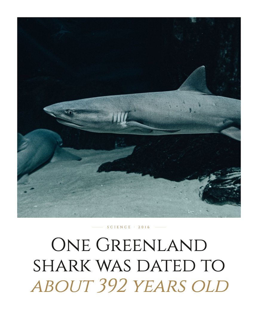 Crescent Discovery Series cover: One Greenland shark was dated to about 392 years old