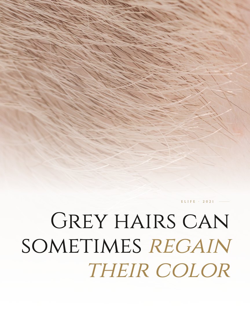 Crescent Discovery Series cover: Grey hairs can sometimes regain their color