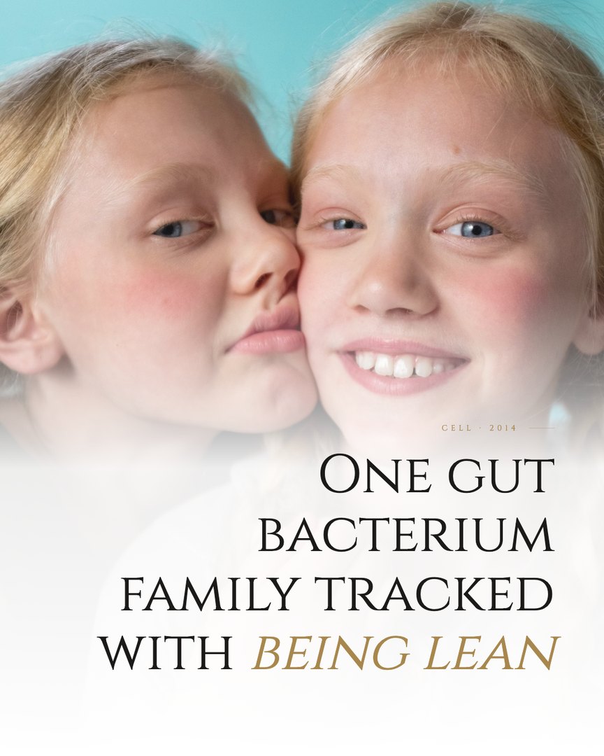 Crescent Discovery Series cover: One gut bacterium family tracked with being lean