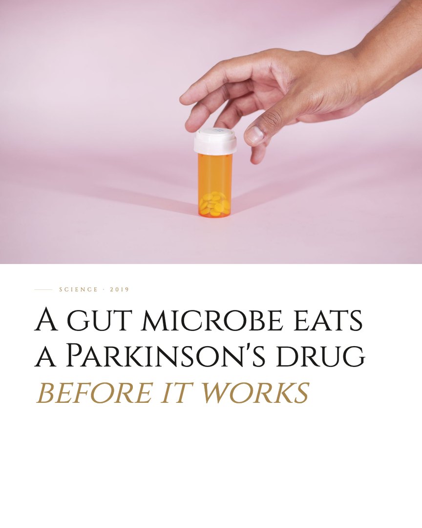Crescent Discovery Series cover: A gut microbe eats a Parkinson's drug before it works