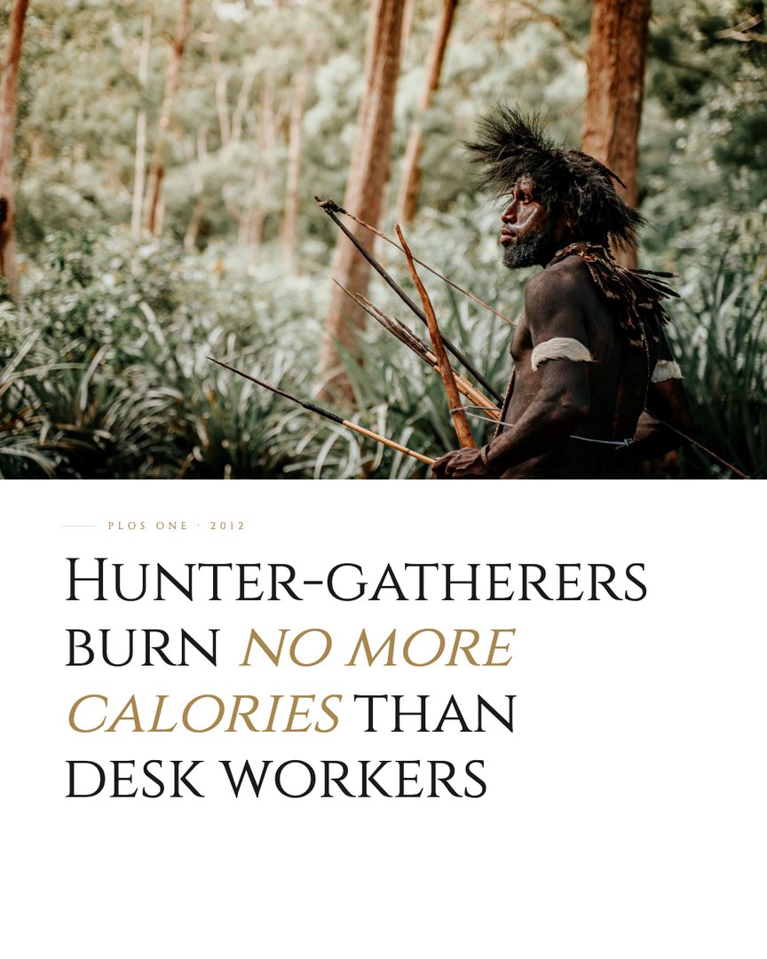 Crescent Discovery Series cover: Hunter-gatherers burn no more calories than desk workers