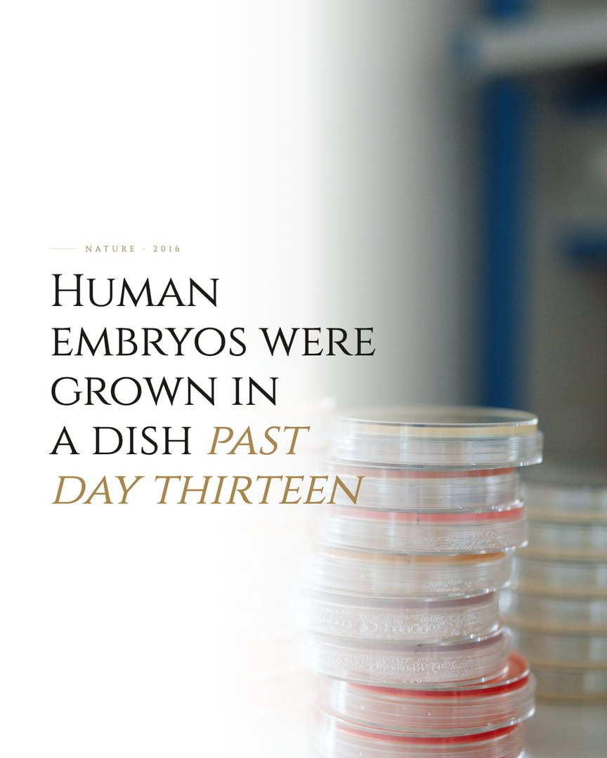 Crescent Discovery Series cover: Human embryos were grown in a dish past day thirteen