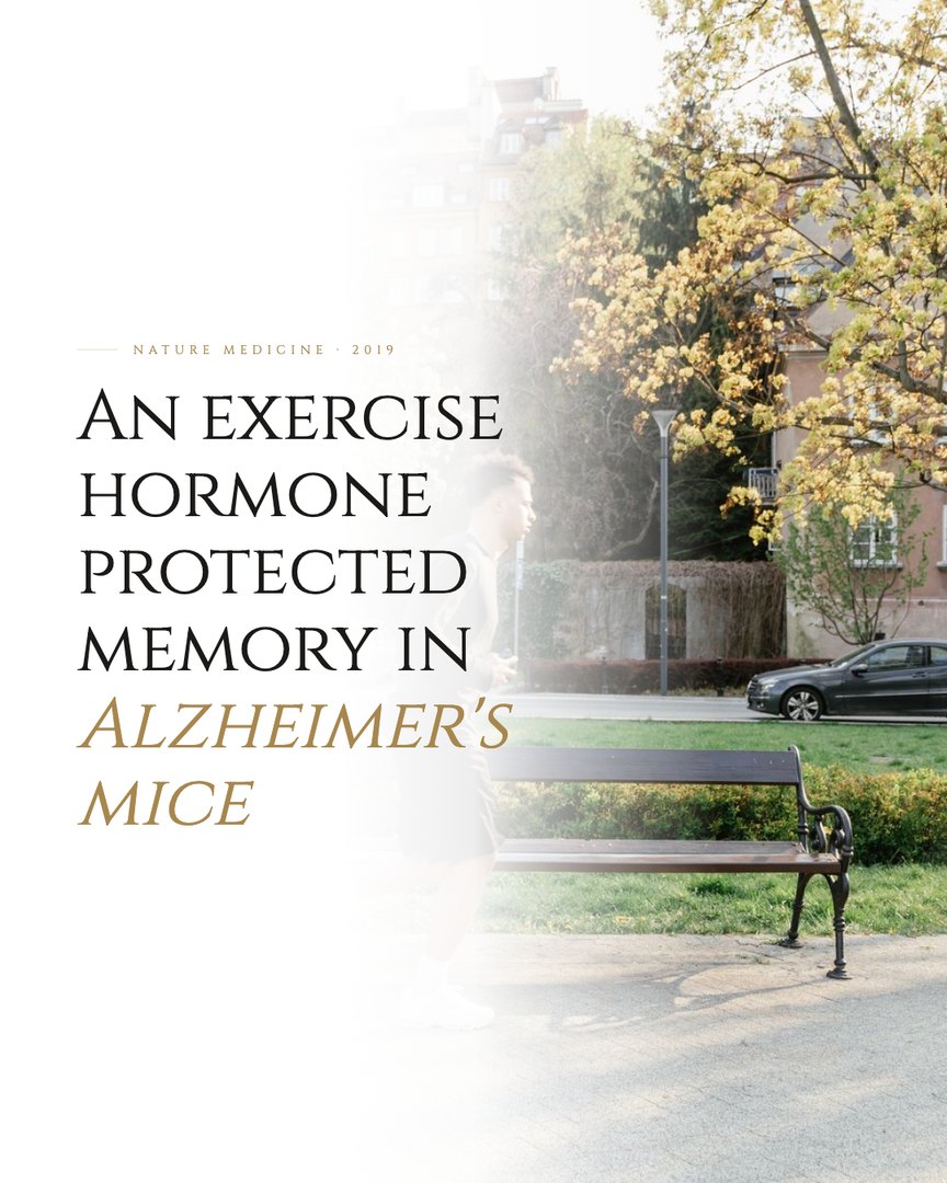 Crescent Discovery Series cover: An exercise hormone protected memory in Alzheimer's mice