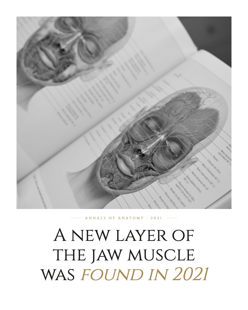 Crescent Discovery Series cover: A new layer of the jaw muscle was found in 2021