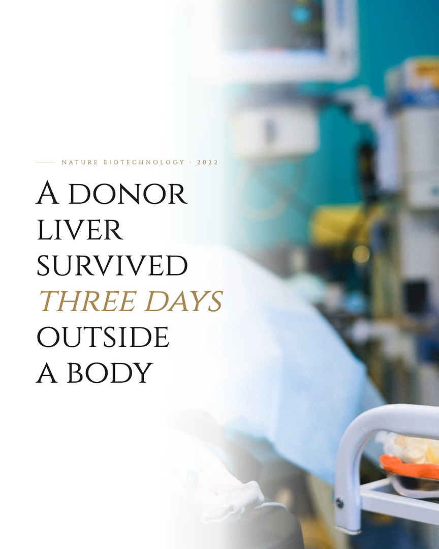 Crescent Discovery Series cover: A donor liver survived three days outside a body