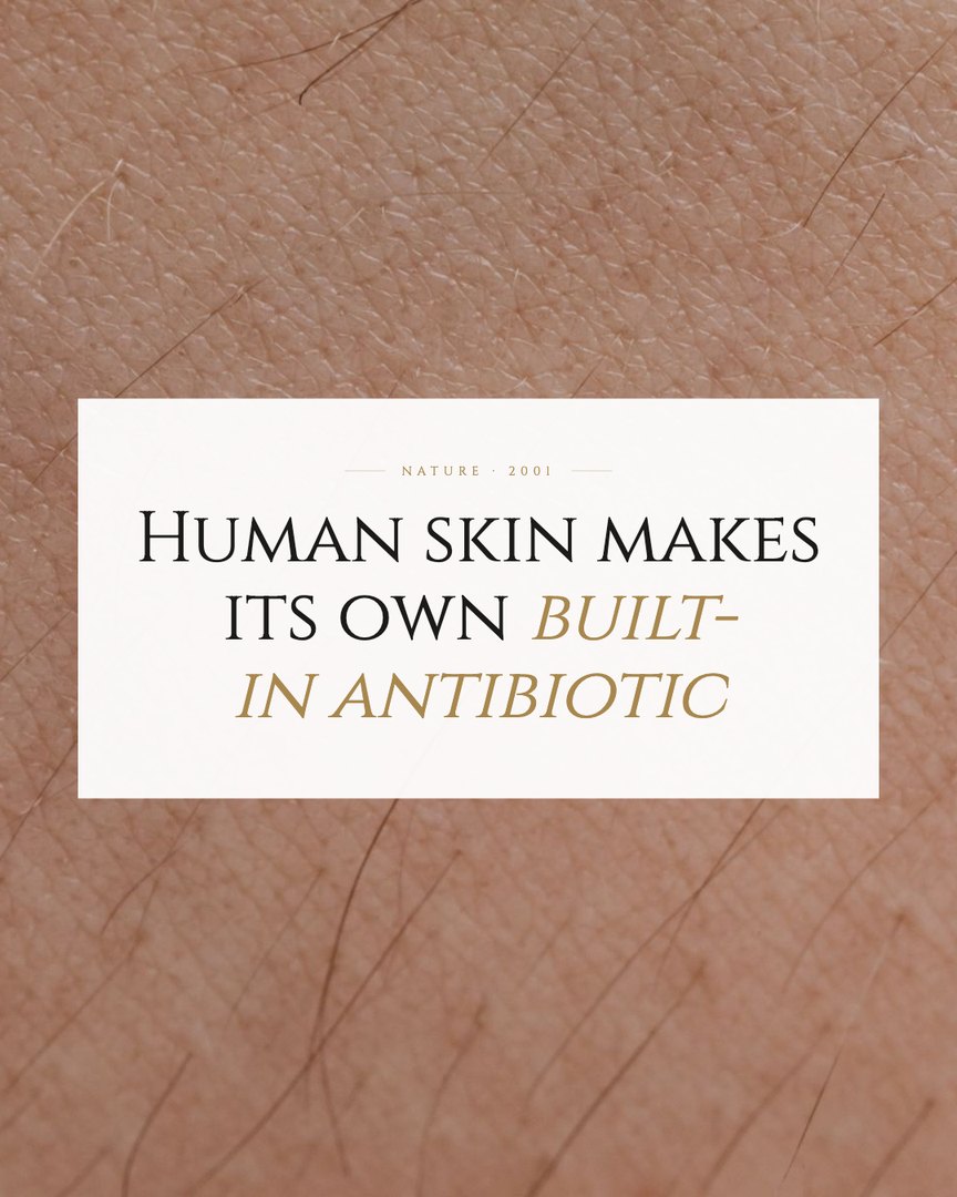 Crescent Discovery Series cover: Human skin makes its own built-in antibiotic