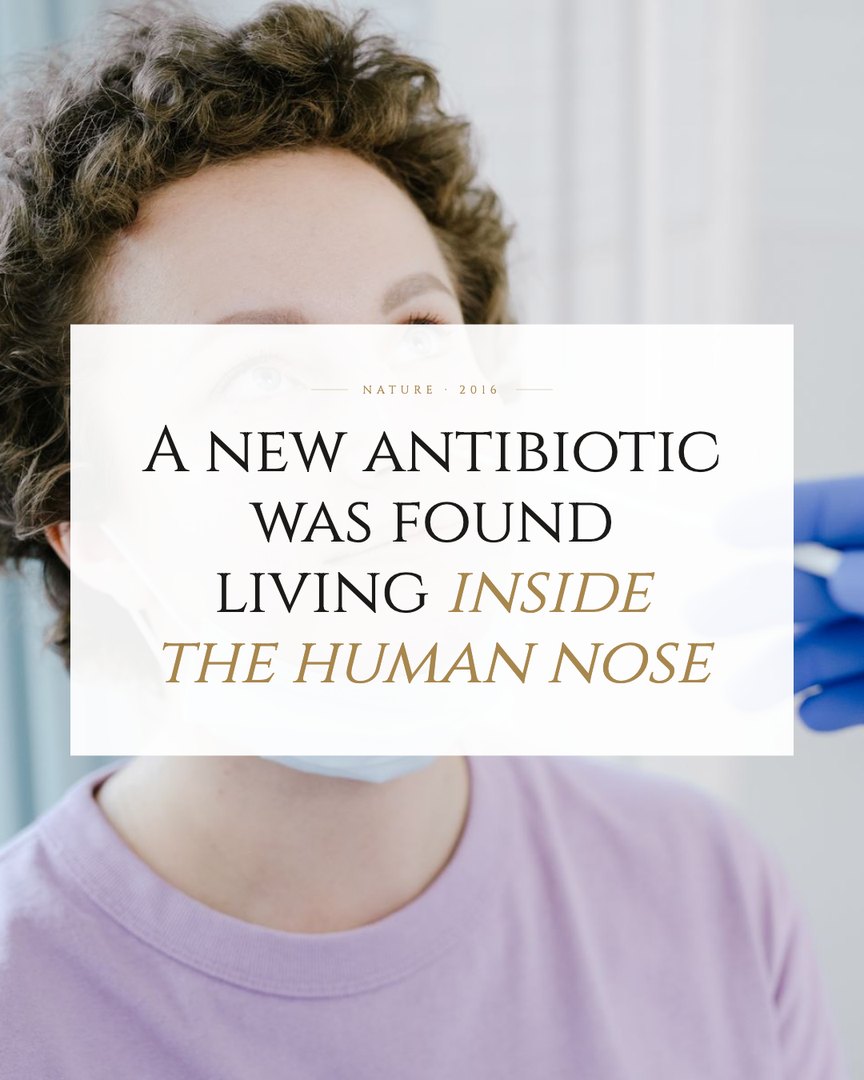 Crescent Discovery Series cover: A new antibiotic was found living inside the human nose