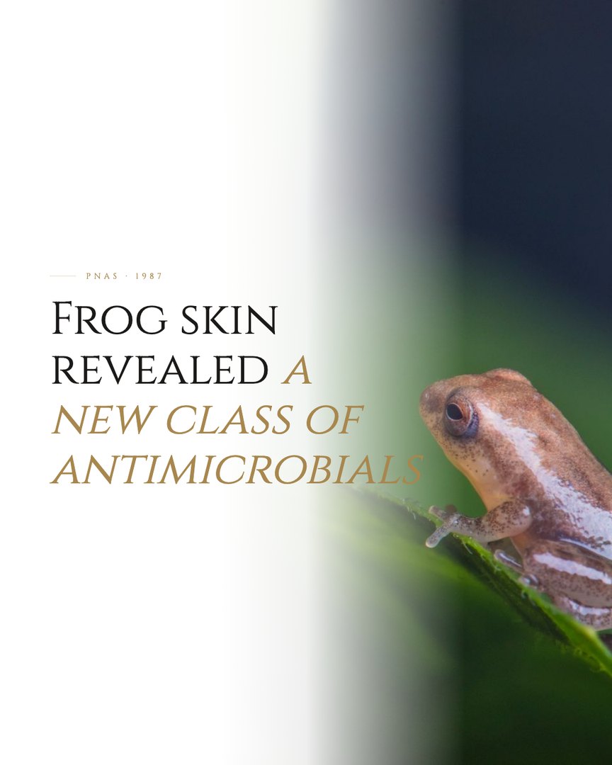 Crescent Discovery Series cover: Frog skin revealed a new class of antimicrobials
